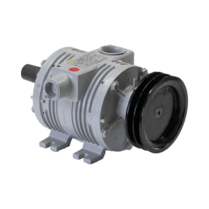 Bomba de vacío BVT 2